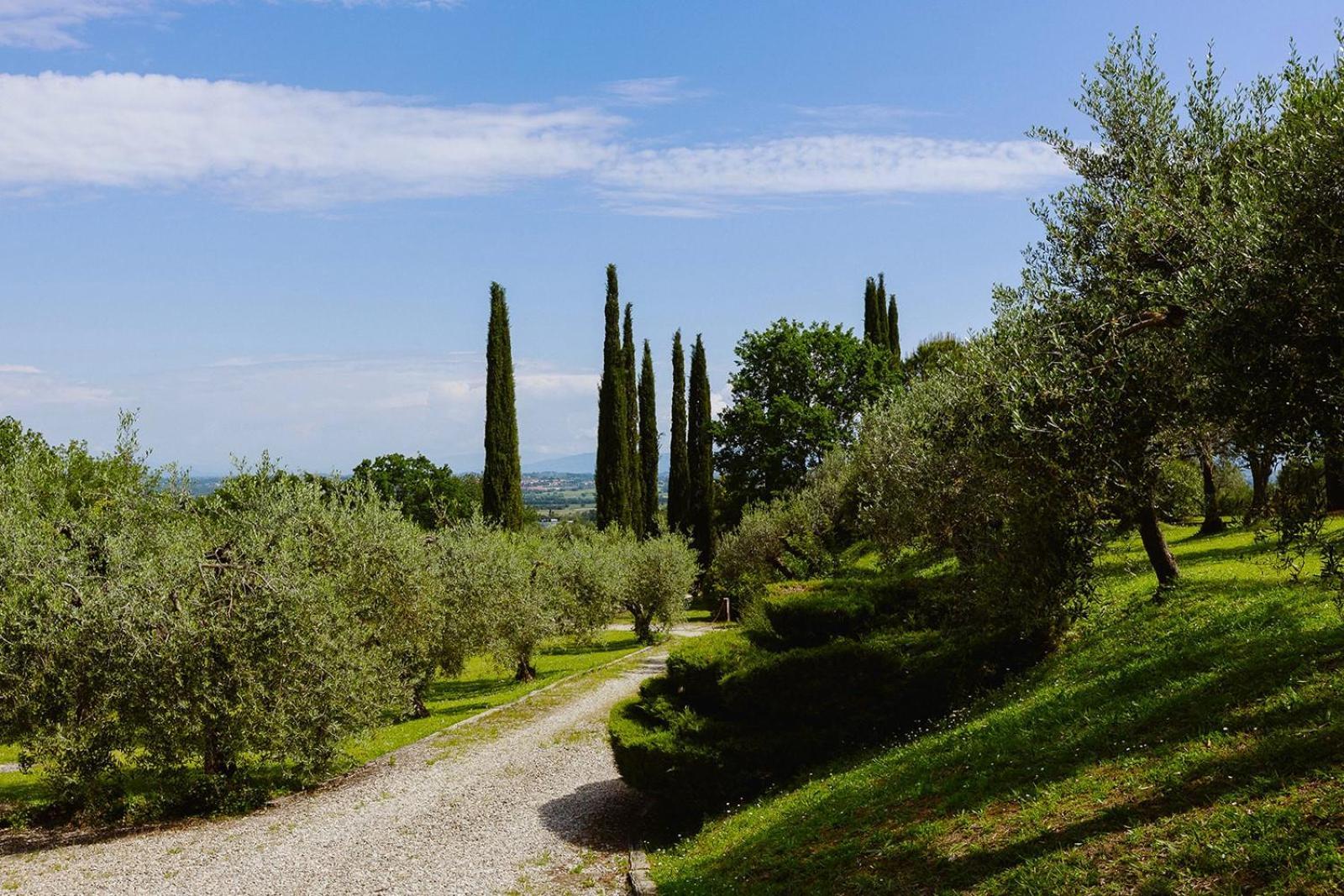 Villa Scianellone Torrita di Siena Exterior foto